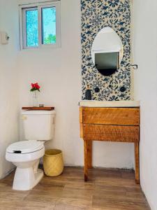 a bathroom with a toilet and a mirror on a wall at Loft Bugambilia en Casa Viva Merida in Techoh