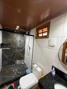 a bathroom with a toilet and a sink and a shower at Recanto Pin in Alfredo Chaves