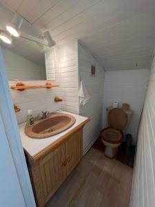 a bathroom with a sink and a toilet at Belle maison basco landaise avec jacuzzi in Labenne +26 photos