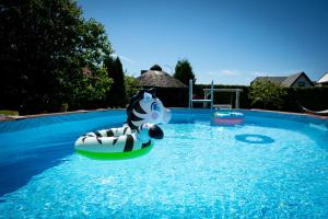a zebra inflatable animal in a swimming pool at Pokoje Oaza Spokoju in Nowęcin