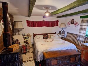 a bedroom with a bed and a table in it at Căsuța Rustică in Muncelu Mare