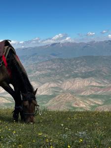 a horse grazing on a hill with mountains in the background at House in Kyzart