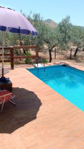 a pool with an umbrella and a chair and a table and an umbrella at Cuntarati Nature Tourism - Simeto Etna in Bronte