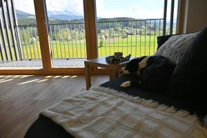 a dog laying on a couch in front of a window at Haus Preber in Mariapfarr +29 photos