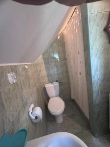a small bathroom with a toilet and a sink at Domek u Moni Kaszuby in Sulęczyno