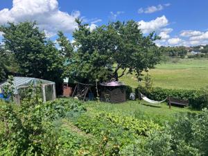 a garden with a hammock and a tree at Domek u Moni Kaszuby in Sulęczyno +4 photos
