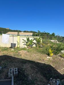 a yard with some plants and a building at Pleasant 1 bed room in Discovery Bay +9 photos