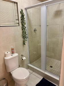a bathroom with a toilet and a shower at The Suburban Guest House in Bloemfontein +66 photos