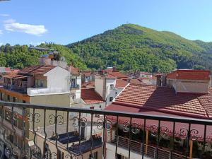 Blick auf eine Stadt mit einem Berg im Hintergrund in der Unterkunft Mountain Icon in Florina
