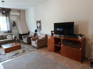 ein Wohnzimmer mit Sofa und Fernseher in der Unterkunft Mountain Icon in Florina