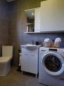 a bathroom with a washing machine and a sink at Kuća za odmor Skela in Glina