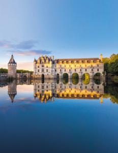 a castle with its reflection in the water at Cozy loft, Loire et chateaux in Messas