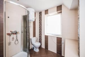 a bathroom with a toilet and a shower at Всім бобра in Pulʼmo +7 photos