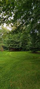 a field of green grass with trees in the background at Isabella in Weißwasser