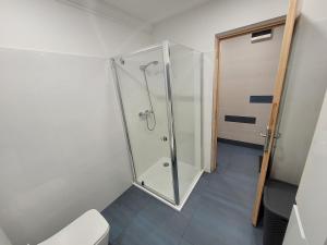 a shower stall in a bathroom with a toilet at Magic Downtown Szeged in Szeged