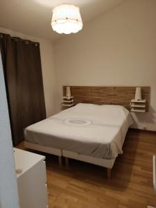 a bedroom with a bed and a chandelier at Hébergement Climatisée Cogolin in Cogolin