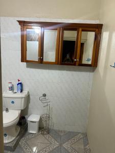 a bathroom with a toilet and a cabinet at Pink house in Port Antonio