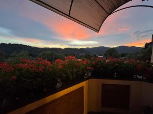 a balcony with flowers and a sunset in the background at LaWanda Studio in Petroşani
