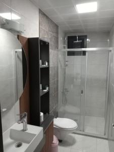 a bathroom with a shower and a toilet and a sink at Akarca Elite Pansiyon in Seferihisar