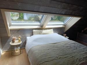 a bedroom with a large bed and a window at Terra Serena in Frasnes-lez-Anvaing