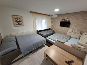 a bedroom with two beds and a couch and a tv at Jakiland house Plitvice Lakes in Korenica