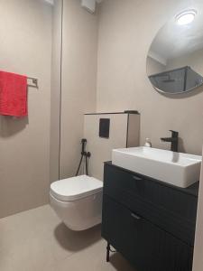 a bathroom with a toilet and a sink and a mirror at Apartment 22 - calm location in Bar +4 photos