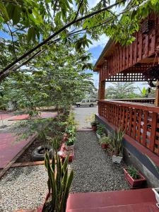 a garden with plants in front of a building at Balletto Boutique in Arusha