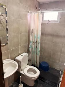 a bathroom with a toilet and a sink at Deptos Valen in Trevelín