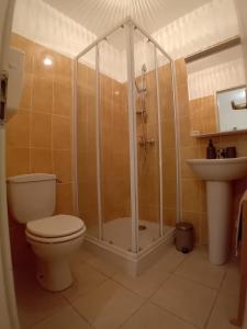 a bathroom with a shower and a toilet and a sink at U muntagna Olmo in Olmo +11 photos