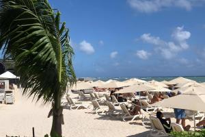 a beach with a palm tree and chairs and umbrellas at Aldea Thai Studios Steps to Beach and 5th Ave in Playa del Carmen