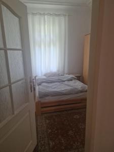a bed in a room with a window and a door at Apartment nad Sveikem in Karlovy Vary