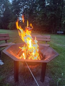a fire pit in the middle of a park at Apartamenty W Zaciszu in Kamienica Królewska