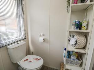 a bathroom with a toilet with red fish painted on it at The Cotswold Holiday Lodge in Evesham +24 photos