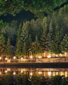 a night view of a park with trees and lights at Уютный дом в Джермуке in Jermuk