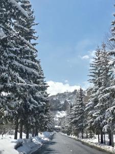 a snowy road with snow covered trees on the sides at Уютный дом в Джермуке in Jermuk