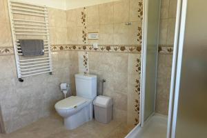 a bathroom with a white toilet and a shower at Apartment in Dabrowa near the Sea in Gostyniec +15 photos
