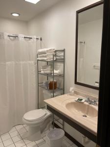 a bathroom with a sink and a toilet and a mirror at The Coolin Motel in Coolin +14 photos