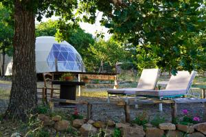two chairs and a tent under a tree at glamping giardino museo a gisa in Petralia Sottana