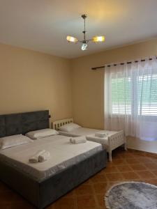 a bedroom with two beds and a window at VillaSolmare Velipoje in Velipojë
