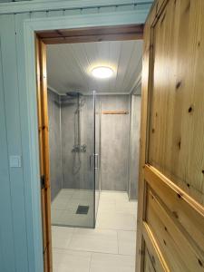 a bathroom with a shower with a glass door at Dalhus Valley Apartment in Norddal +17 photos