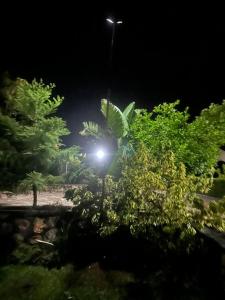 a street light in the middle of trees at night at Lavender Garden Kabarondo in Kayonza