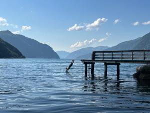 a person standing in the water next to a pier at Dalhus Valley Apartment in Norddal