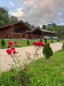 a log cabin with red flowers in front of it at Cabanutele M&V INFINIT in Sălătrucel