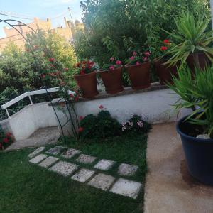 un jardín con plantas en macetas sobre una pared de cemento en Dea, en Putignano