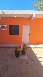 two plants in pots in front of a house at Las Veredas Aeropuerto in San José del Cabo
