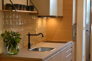 a kitchen with a sink and a counter top at AIXPE apartamentos boutique in Osma +49 photos