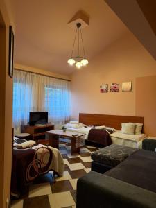 a large living room with a couch and a tv at Żywiec CENTRUM Apartamenty z aneksem kuchennym & łazienką in Żywiec