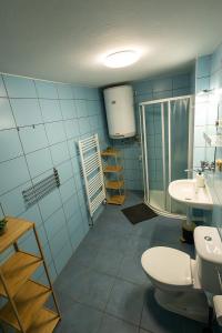 a bathroom with a toilet and a sink at Chalupa Šťastný kopec in Deštné v Orlických horách