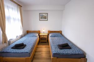 two twin beds in a room with a window at Chalupa Šťastný kopec in Deštné v Orlických horách +66 photos