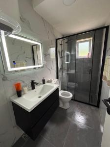 a bathroom with a sink and a toilet at Visitor Apartment-Plav in Plav +5 photos